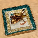 川田 - 2024.1.  ホンモロコ