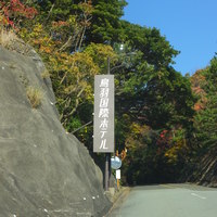 メインダイニング シーホース - 
