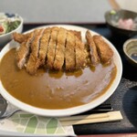 233255926 - 見た目はシンプルなカレー