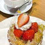 ケーキハウスショウタニ　 - 