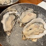 Oyster Lab - 
