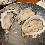 Oyster Lab - 