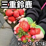 トリックスいちご園 - 