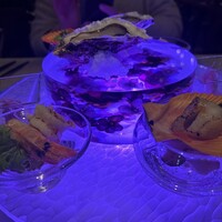 スミレオオサカ -  スミレオオサカ -