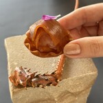 プレゼンテ スギ - 