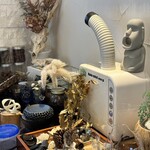 プレゼンテ スギ - 