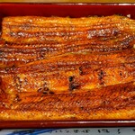 Unagi Hashimoto - 