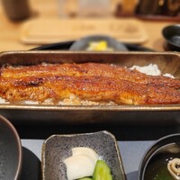 うなぎ四代目菊川 ミッドランドスクエア 名古屋本店 - 