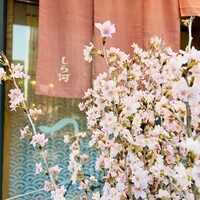 しら河 浄心本店 - 