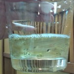 烏山 - シラウオ・・・いきてる・・。