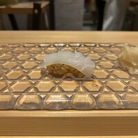 すし 福寿 - アオリイカ