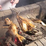 旬魚季菜 とと桜 - 炉端焼き