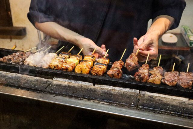 Sumibi Yakitori Toyofuji photo 5