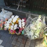 豚骨一燈 - 祝開店