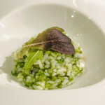 BARBA - 真鯛と生のりのリゾット