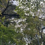 オーボンヴュータン - 