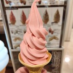 Toua Kohikan - ハスカップソフトクリーム