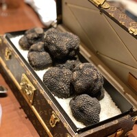 スガラボヴィー - 