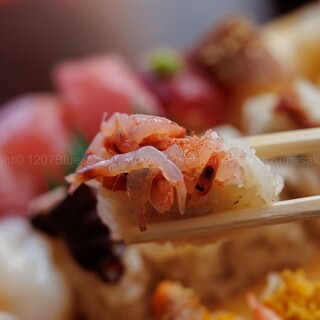 金寿司 地魚定_1