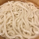 Marugame Seimen - もっちり柔らかく弾力のある麺。ぶっかけの麺と印象がとても違います。