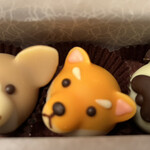 ゴンチャロフ 高島屋岡山店 - コーギー、しばわんこ、ブルドッグどれも可愛いのよー！やられるわ〜。✧٩(ˊωˋ*)و✧