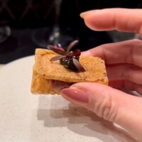 HIKARI - 和牛タルタルとキャビア→イチボの肉のタルタル　キャビア アーモンドやカシューナッツナッツ類。塩漬けしたうずらの卵、レモン汁、八角とハーブ、スパイスのチュイル　マイクロハーブのアマランサスが上