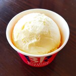 サーティワンアイスクリーム - 料理写真:「バニラ」のアイスクリーム