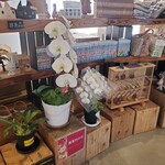 葛尾村復興交流館あぜりあ - 