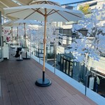 HAUTE COUTURE CAFE OMOTESANDO - 