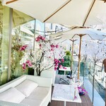 HAUTE COUTURE CAFE OMOTESANDO - 