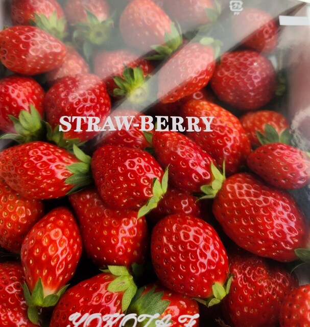 横田農園 - 川東（その他）の写真