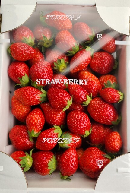 横田農園 - 川東（その他）の写真