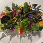 レフェルヴェソンス - 