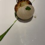 レフェルヴェソンス - 