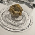 レフェルヴェソンス - 