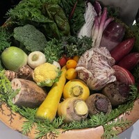 レフェルヴェソンス - 