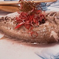 魚屋 小次朗 - 