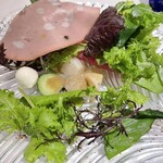 233396678 - プリモサラダを開いたところ