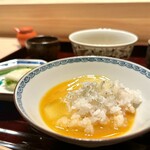 多仁本 - シラスかげで