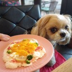 Deco’s Dog Cafe 田園茶房 - 
