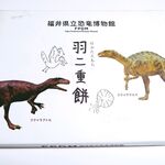 福井県立恐竜博物館  ミュージアムショップ - 