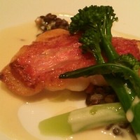BISTRO FAVORI 代官山 - 