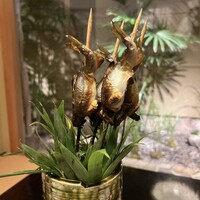 祇園 又吉 - 