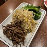 焼肉 山河 - ナムル