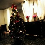 グリエ タニグチ - クリスマスツリー☆