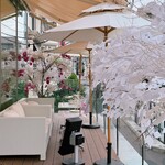 HAUTE COUTURE CAFE OMOTESANDO - 