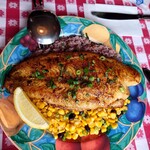 Troubadour - ブラッケン キャットフィッシュ