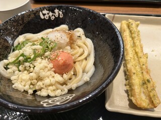 Hanamaru Udon - 