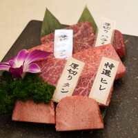 PONGA PREMIUM - 
