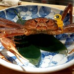 こんにちは。そしてさようなら。